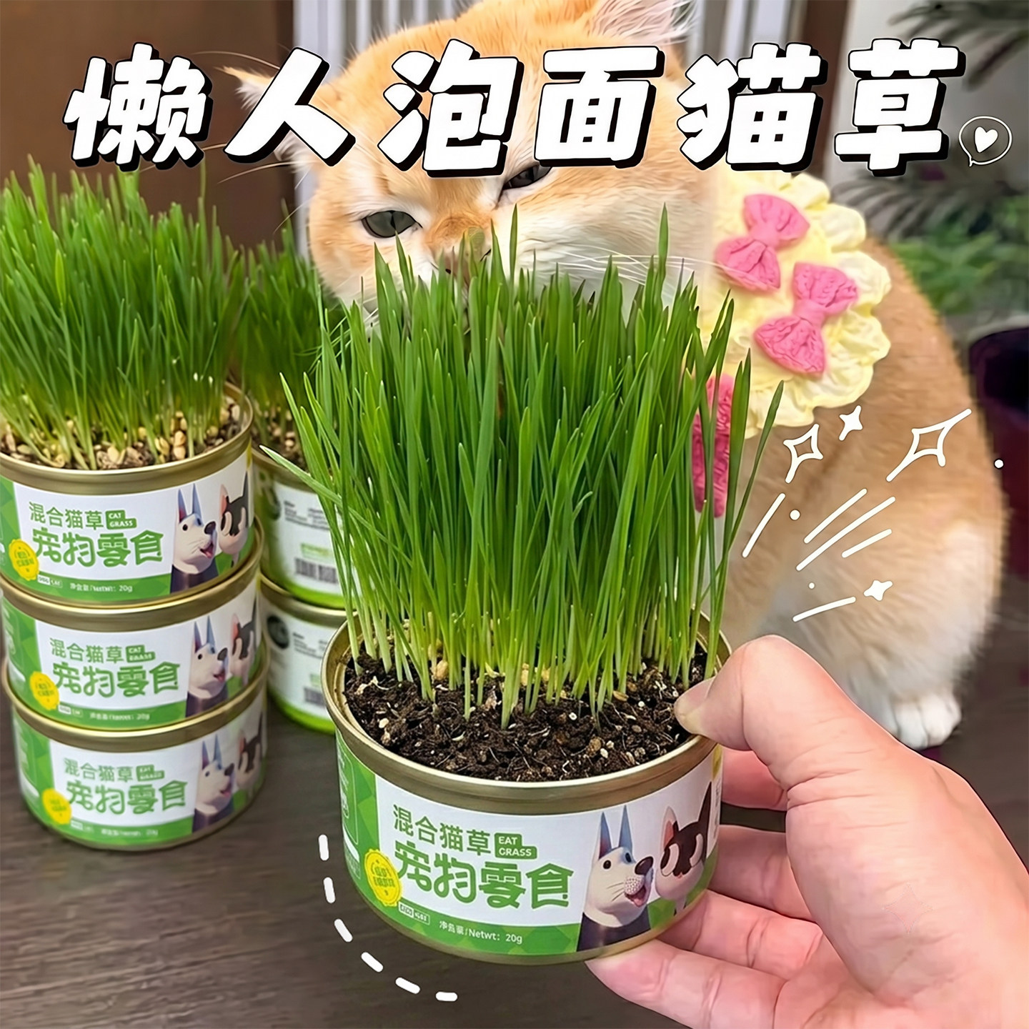 猫咪化毛猫草罐懒人专用土培猫草种子肠胃改善盆栽出草快温和排毛