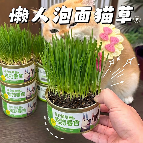 仅3.9/罐~懒人猫草罐轻松化排毛