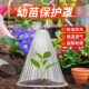 蔬菜植物罩瓜苗菜苗幼苗育苗秧苗大棚育苗保温防虫防鸟防霜保护罩