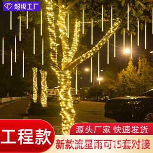 新款直销24v工程款led流星雨灯串流星雨灯管灯条彩灯闪灯串灯圣诞