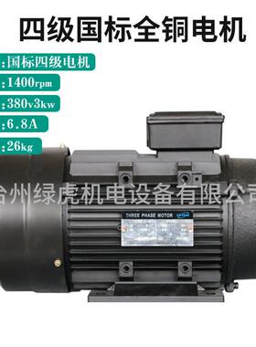 绿虎高压清洗机电动机3KW/380V