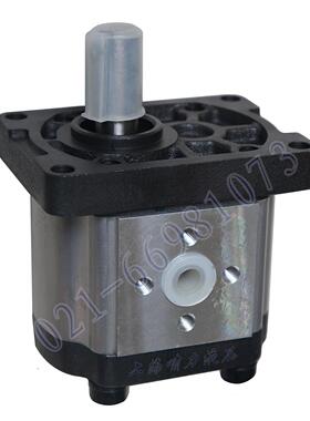 液压齿轮油泵 啸力CBTt-F310F3P7齿轮泵 可互换SDH