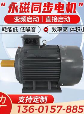 厂家直销高效30KW三相永磁同步电机变频调速机械设备用电动机