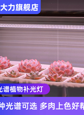 元大力 植物补光灯led多肉仿太阳光上色热植全光谱植物生长灯