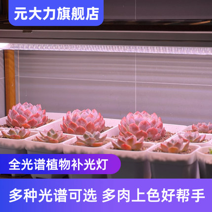 元大力 植物补光灯led多肉仿太阳光上色热植全光谱植物生长灯