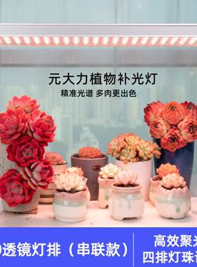 元大力M30透镜灯排 全光谱多肉植物补光灯LED家用上色仿太阳专用