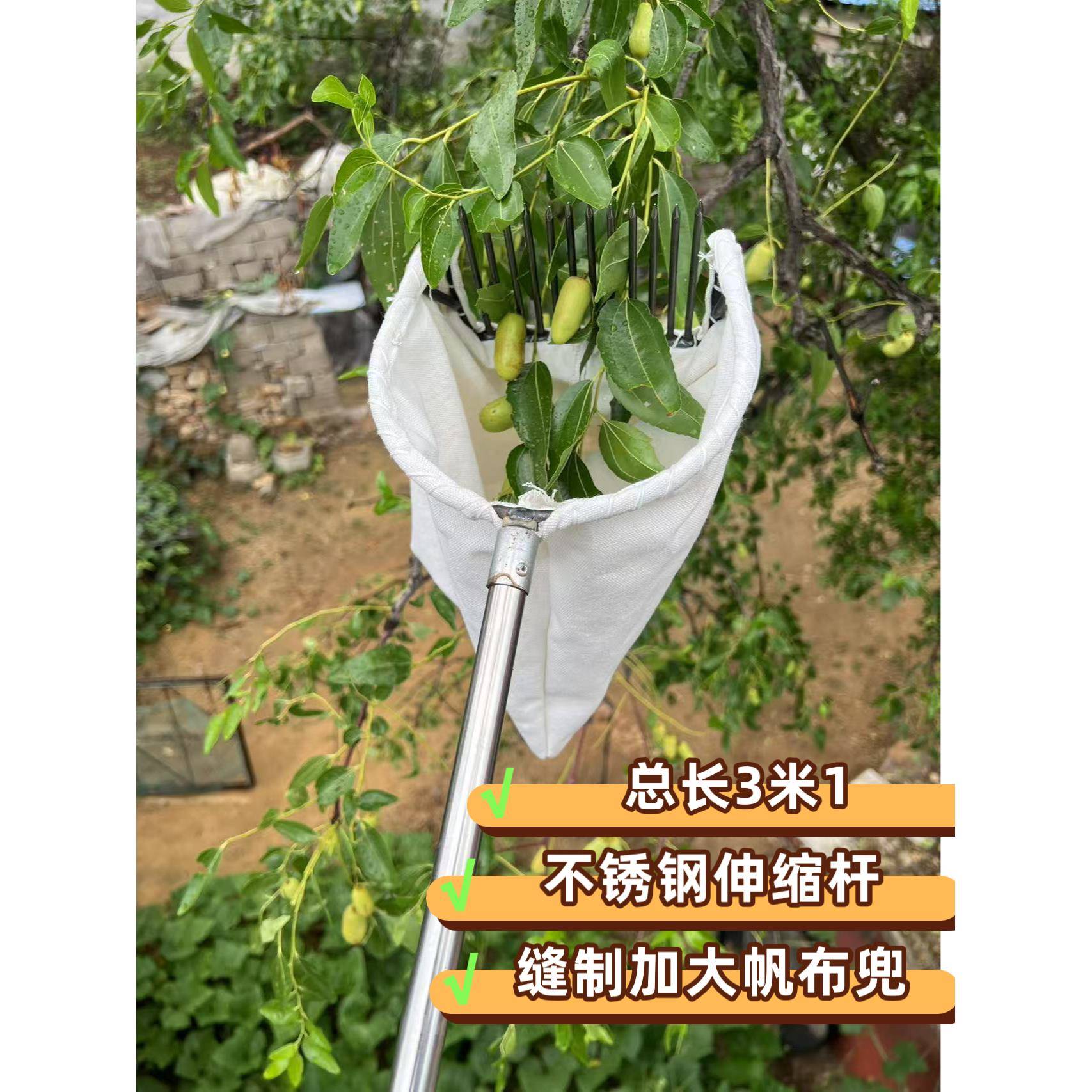 新款3米伸缩杆款摘酸枣柏树籽大枣山杏山核桃茶油果山楂摘果工具