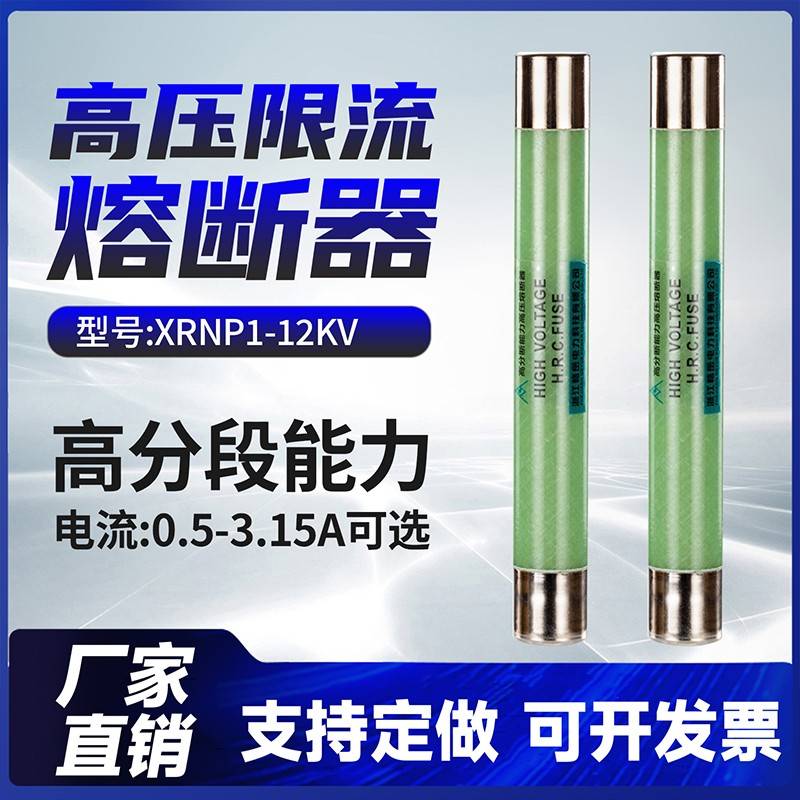 高压限流熔断器XRNP1-10/12KV0.5/1/2/5A高分断能力保险PT熔管