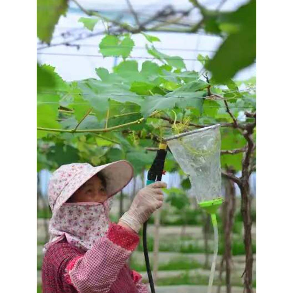 葡萄膨果拉穗器阳光玫瑰保果洗果神器膨大浸果农用喷雾器雾化喷头
