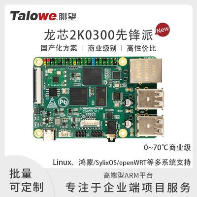 [官方]龙芯2K0300先锋派国产开发板/工控板/评估板LA架构单核鸿蒙