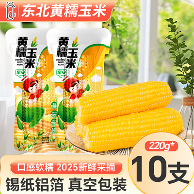 东北黄糯玉米非转基因真空装
