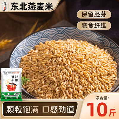 东北燕麦米当季新米农家自种产