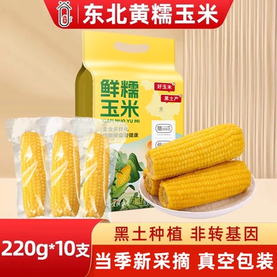 当季头茬东北黄甜糯玉米大棒10支