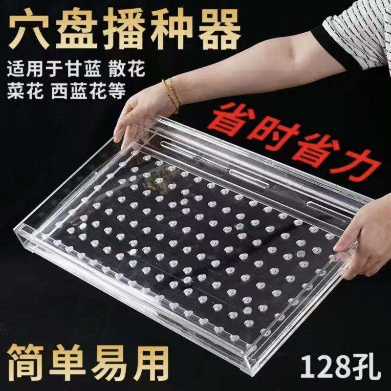 播种器辣椒加厚播种神器新款压孔器育苗盘播种器多功能漂浮育苗盘