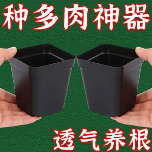 简约实用5厘米小黑方塑料花盆育苗扦插多肉花盆方形盆营养钵花艺