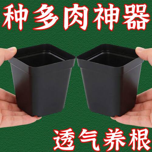 简约实用5厘米小黑方塑料花盆育苗扦插多肉花盆方形盆营养钵花艺