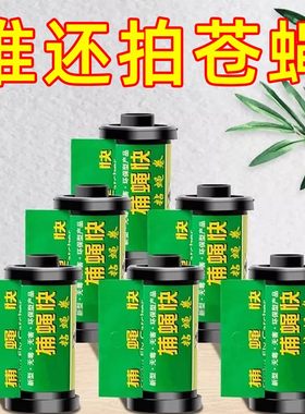 强力粘蝇纸板沾蚊虫胶家用捕蝇贴