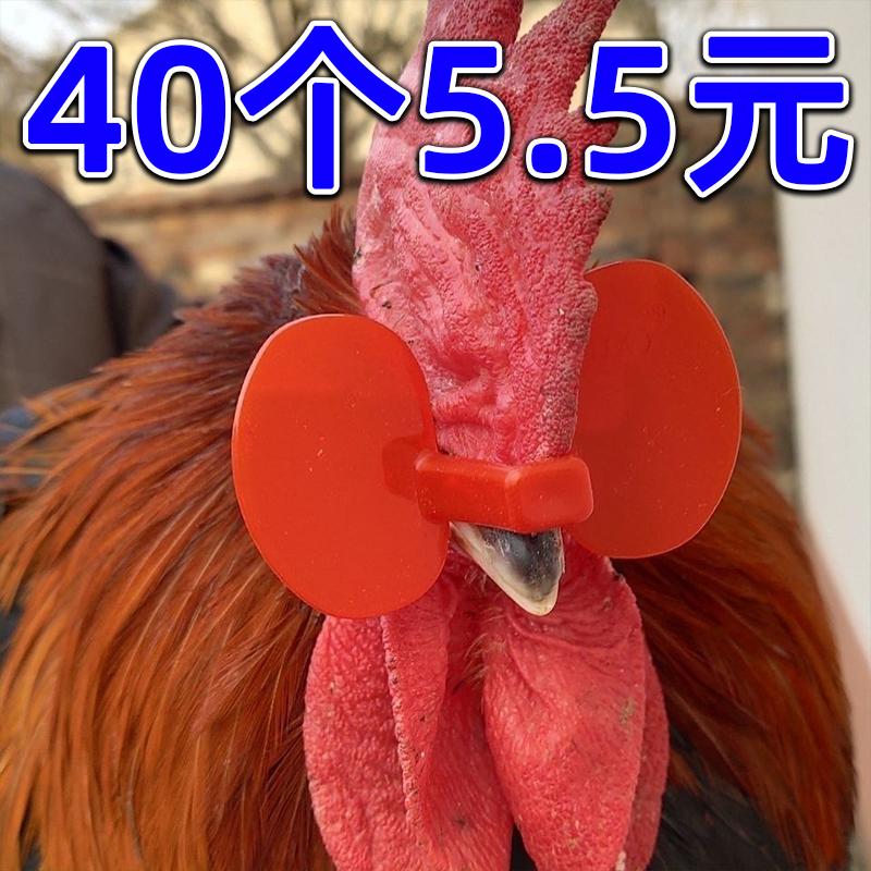 公鸡卡式鸡戴眼镜鸡眼镜养殖无栓方便防打架防啄毛防啄肛家禽眼罩