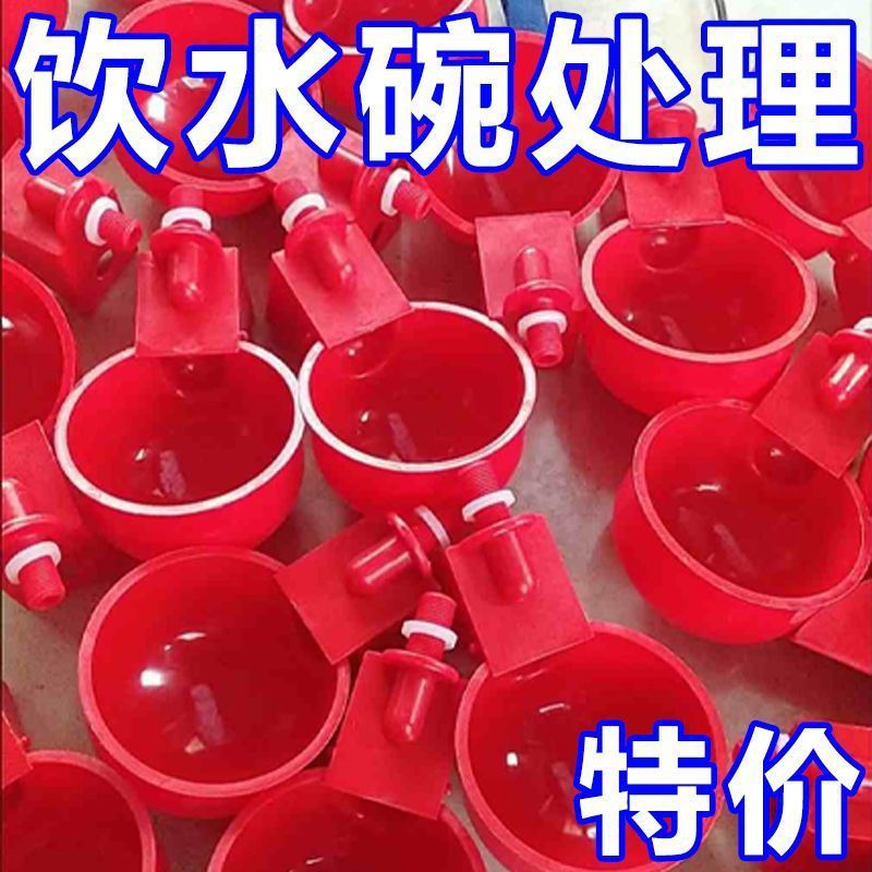 鸡鸭鸽子饮水碗雏鸡鸟用