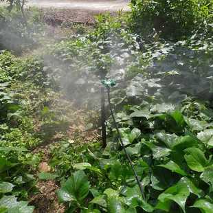 全自动浇水定时器浇花喷淋蔬菜插地上土里喷雾雾化多喷头 直销新款