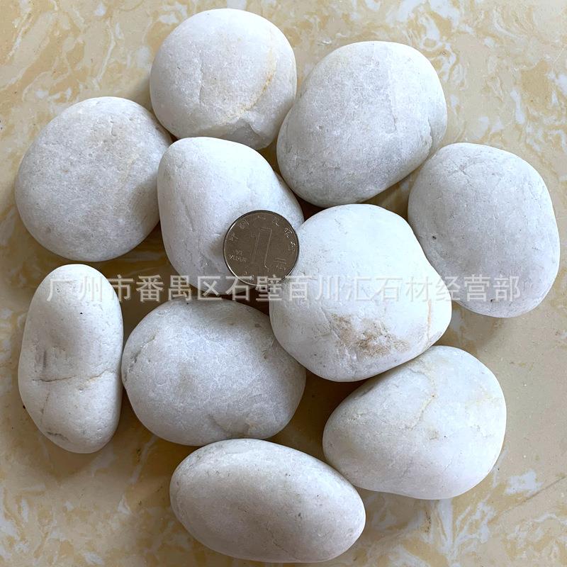 直销新款直销白色天然鹅卵石水洗白 酸洗白石子装饰造景园林散置