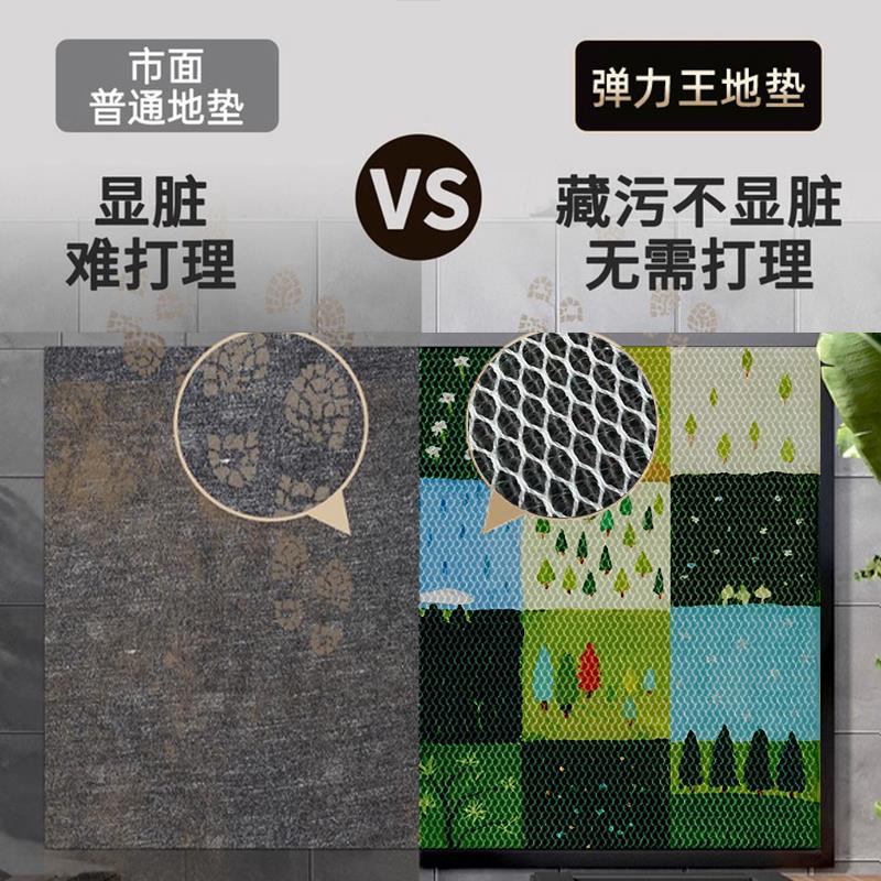 入户门地垫进门脚垫客厅家用玄关轻奢高级感弹力丝防滑垫门口地毯