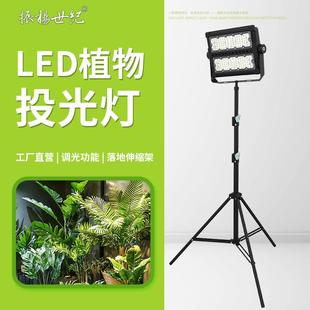 植物补光灯100W全光谱LED植物生长灯家用鱼缸水草绿植盆栽补光灯