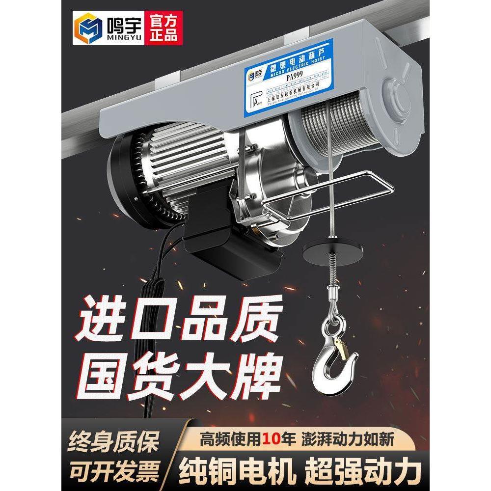 微型电动葫芦220V吊机家用小型升降 上料提升机1/0.8吨卷扬起重机