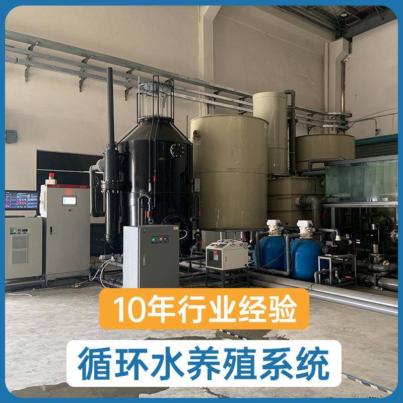 厂家直供鱼苗虾苗水产养殖工程设计室内户外工厂式大型循环水系统