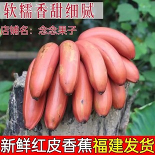 【现货】福建漳州红美人香蕉整箱应季新鲜水果香甜土楼红皮水果