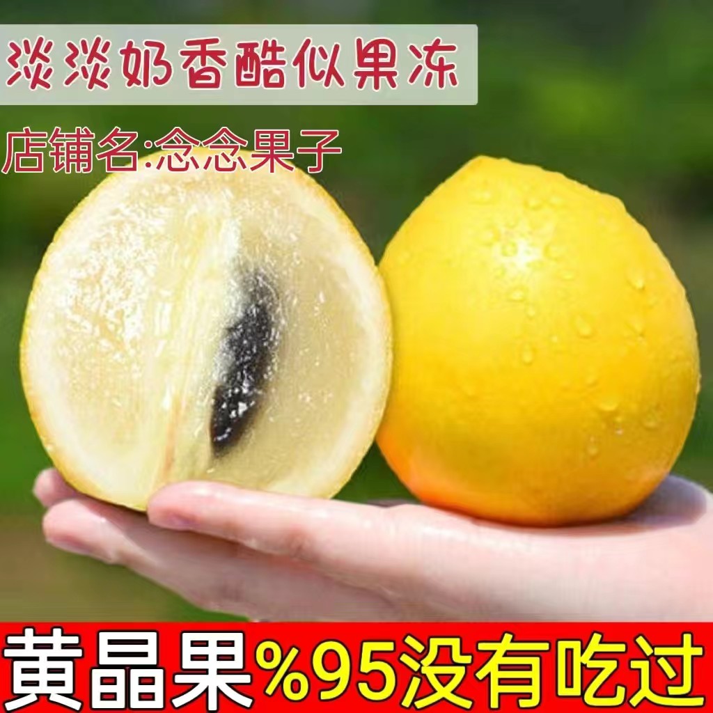 【现货】黄晶果新鲜牛奶果罕见水果黄金大果孕妇整箱包邮稀有品种