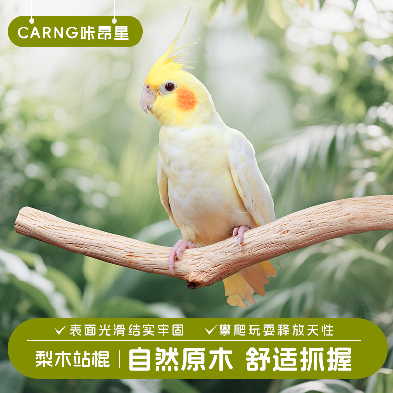 咔昂星鹦鹉站杆小鸟磨嘴磨爪棒棍站架台鹦鹉玩具磨脚鸟笼配件秋千