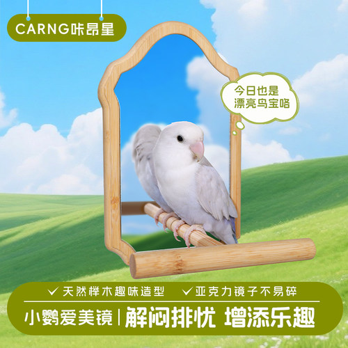 咔昂星鹦鹉镜子站台原木站杆
