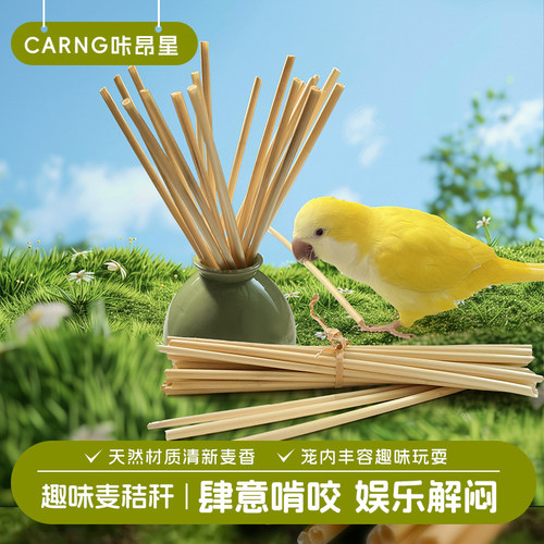 咔昂星鹦鹉玩具大全解闷自嗨啃咬麦秸秆牡丹磨嘴牙用品鸟笼配件