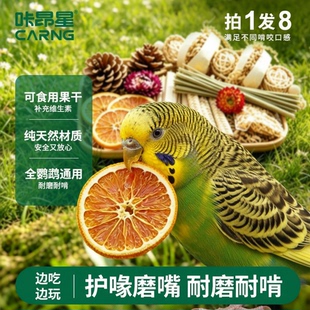 咔昂星鹦鹉玩具解闷啃咬自嗨虎皮鹦鹉专用玩具磨嘴牙脚爪小鸟玩具
