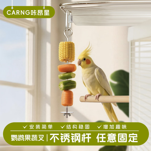 咔昂星鹦鹉鸟用不锈钢水果蔬叉签