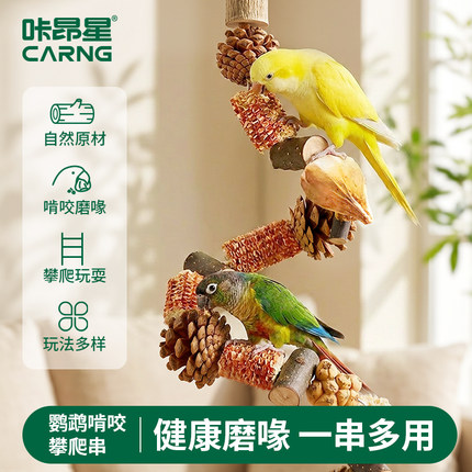 咔昂星小太阳鹦鹉啃咬玩具站杆解闷自嗨虎皮牡丹玄凤和尚装饰磨爪