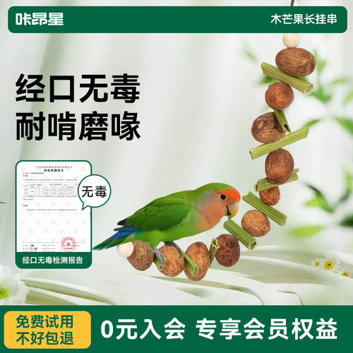 咔昂星鹦鹉笼内造景美化布置装饰小鸟家园吊环玩具高颜值藤球挂件