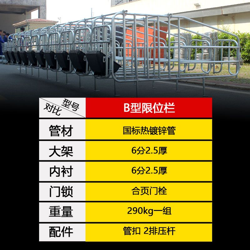 母猪用限位栏定位栏国标2.5厚2.7限位栏10母猪位养猪栏舍设备配件