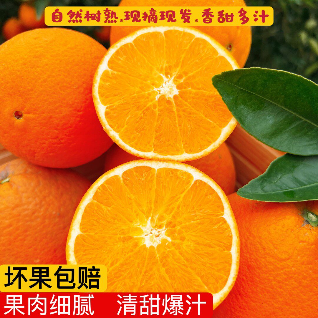 (三火专属)72-1精品正宗奉节脐橙现摘现发鲜甜多汁新鲜5/10斤