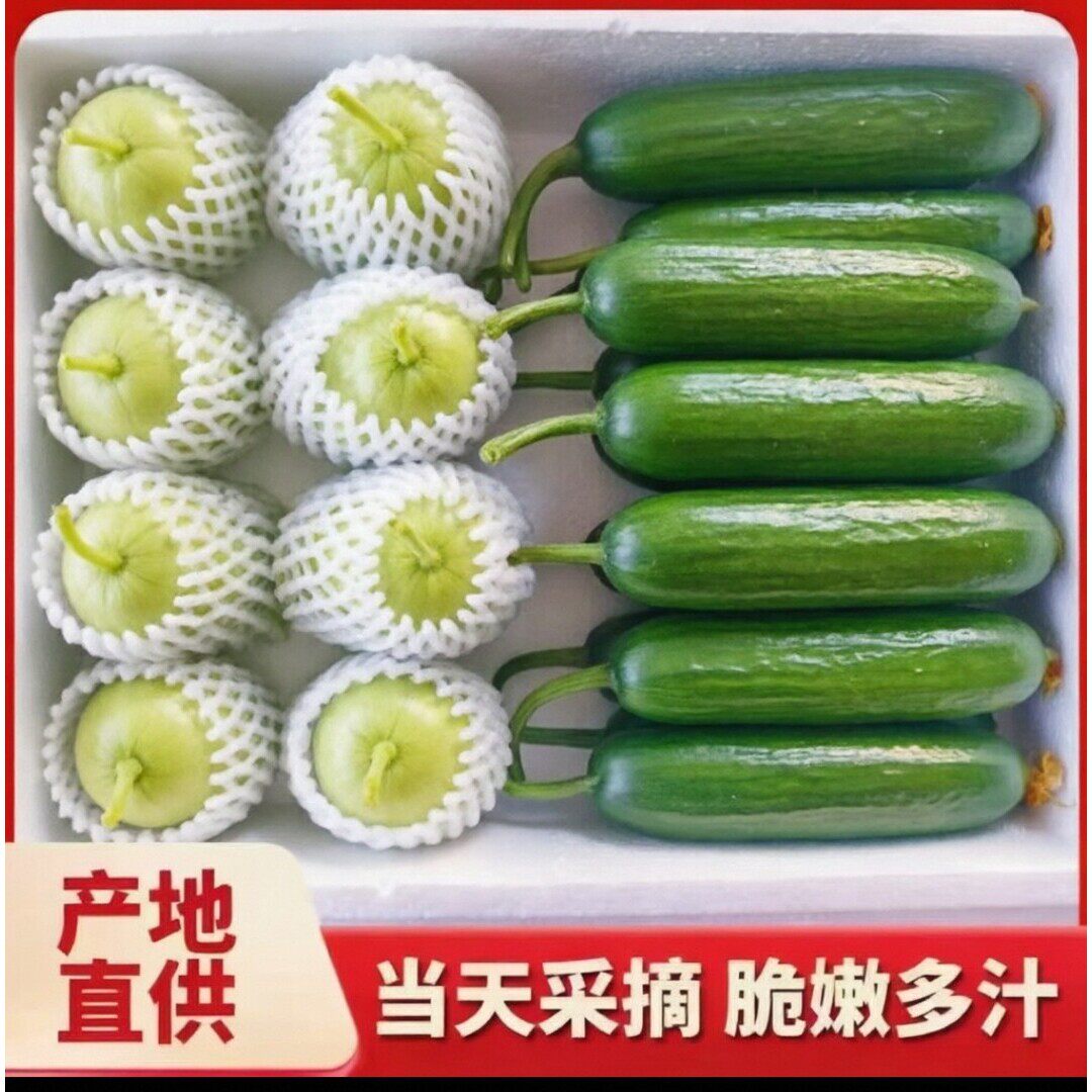 山东水果小黄瓜+玉女黄瓜清脆爽口农家现摘现发