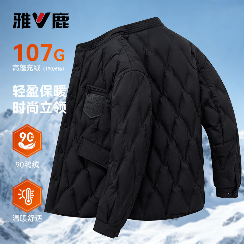 2026秋冬新款时尚立领鸭绒男外套