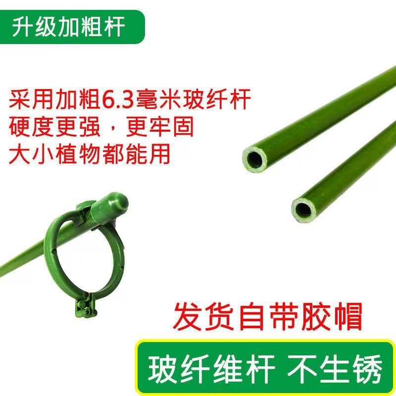 园艺支撑杆花架固定器花卉植物室内蝴蝶兰花防倒支架卡扣式支撑架图片