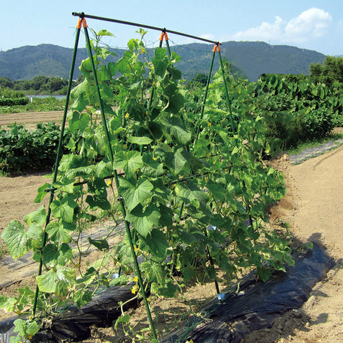黄瓜爬藤架植物支撑杆种蔬菜豆角四季豆架子植物菜园固定支架网格