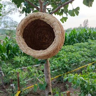 稻草窝鸟窝鸟巢喜鹊户外装饰悬挂式小房子冬季保暖繁殖树上夏用具