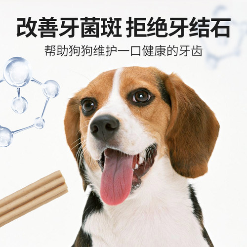 朗仕狗狗磨牙棒骨头宠物零食耐咬幼犬洁齿小中型狗咬胶补钙除口臭