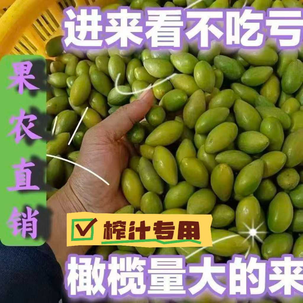 【榨汁专用】正宗潮汕柿橄榄2号原味新鲜鲜果子水果批发量大优惠