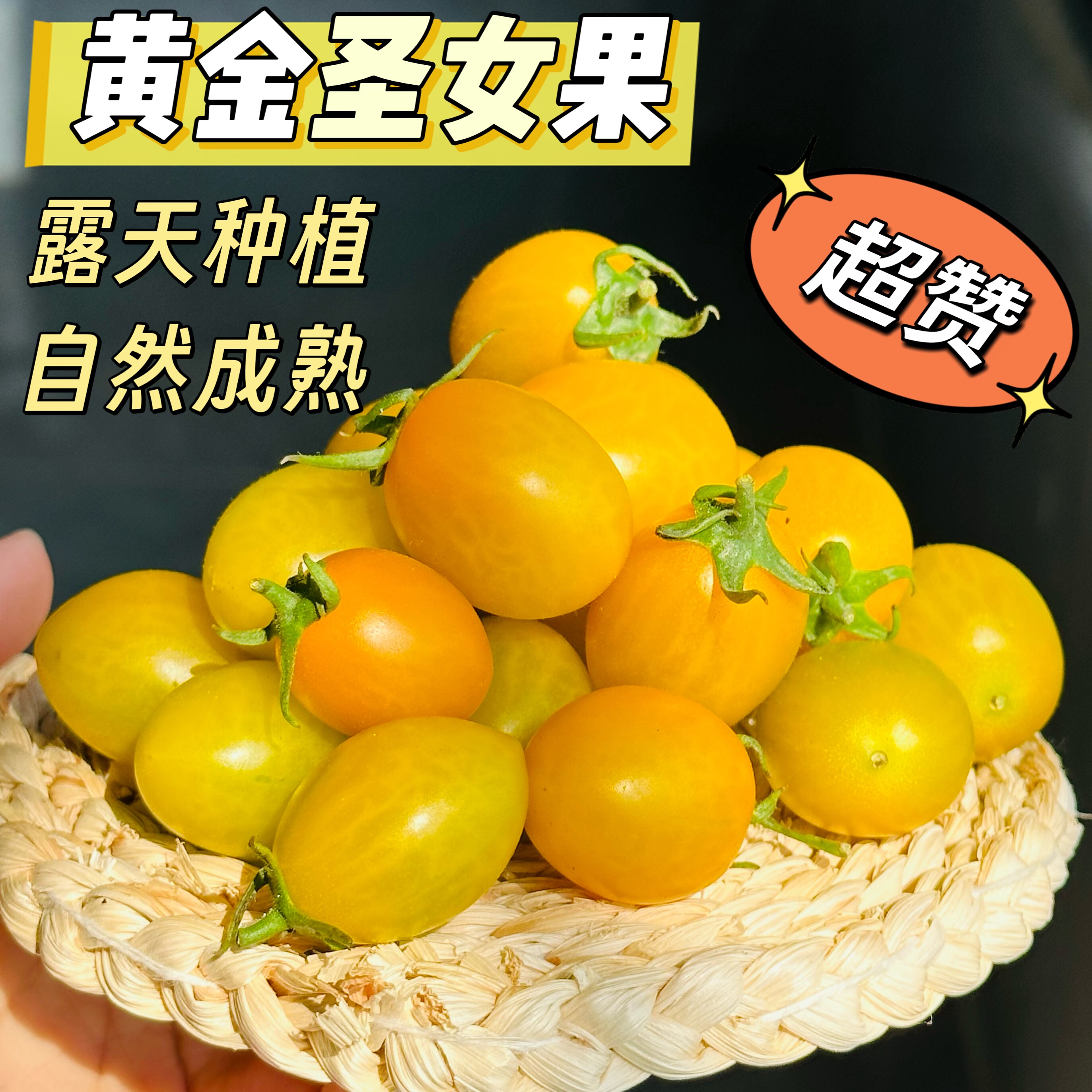【邮政特快/京东】汕尾黄金圣女果新鲜小番茄农家地种植现摘