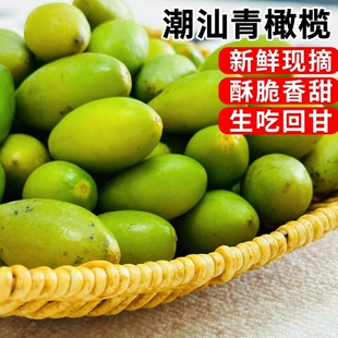 橄榄潮汕甜种青橄榄果新鲜现摘酥脆香甜二号生吃回甘橄榄