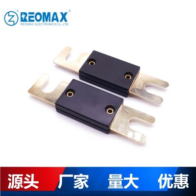 40A50A60A70A80A100A200A300A400A500A大号汽车插栓保险丝片
